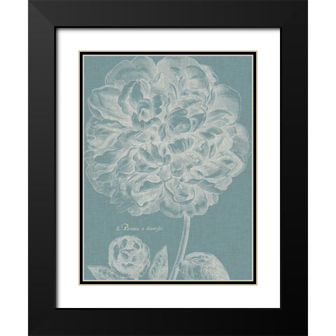 Graceful Peony II Black Modern Wood Framed Art Print with Double Matting by Vision Studio