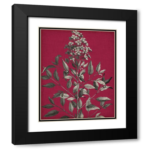 Vivid Chintz IV Black Modern Wood Framed Art Print with Double Matting by Vision Studio