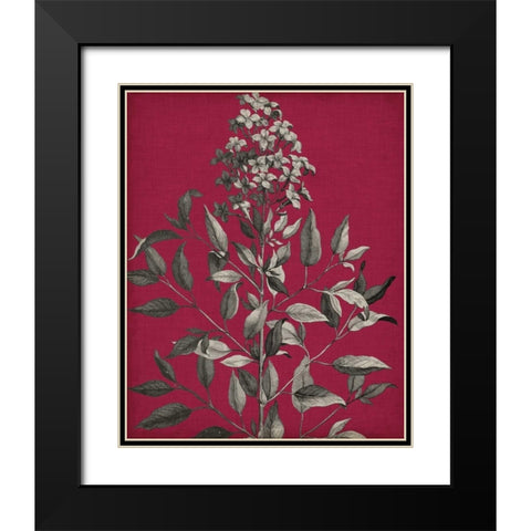 Vivid Chintz IV Black Modern Wood Framed Art Print with Double Matting by Vision Studio