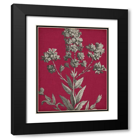 Vivid Chintz VI Black Modern Wood Framed Art Print with Double Matting by Vision Studio