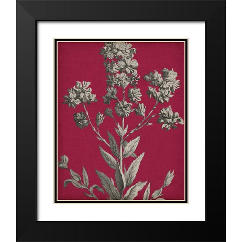 Vivid Chintz VI Black Modern Wood Framed Art Print with Double Matting by Vision Studio