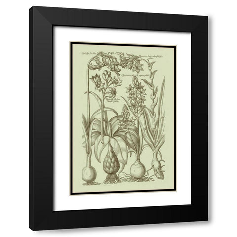 Garden of Flora I Black Modern Wood Framed Art Print with Double Matting by Vision Studio