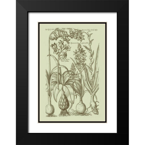 Garden of Flora I Black Modern Wood Framed Art Print with Double Matting by Vision Studio