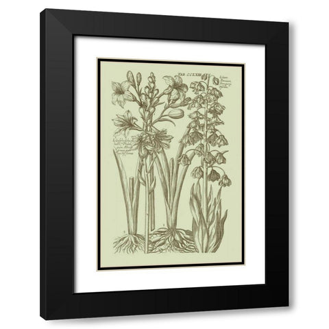 Garden of Flora II Black Modern Wood Framed Art Print with Double Matting by Vision Studio