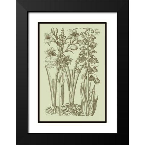 Garden of Flora II Black Modern Wood Framed Art Print with Double Matting by Vision Studio
