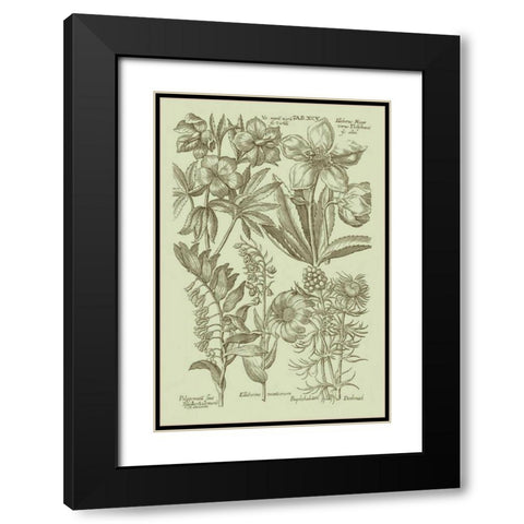 Garden of Flora III Black Modern Wood Framed Art Print with Double Matting by Vision Studio