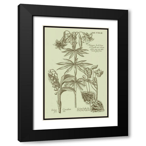 Garden of Flora IV Black Modern Wood Framed Art Print with Double Matting by Vision Studio