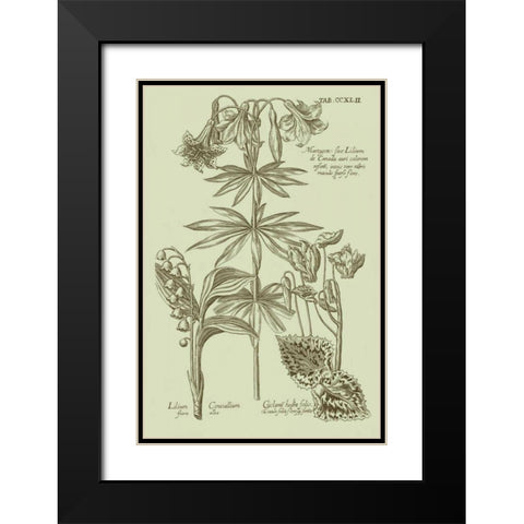 Garden of Flora IV Black Modern Wood Framed Art Print with Double Matting by Vision Studio