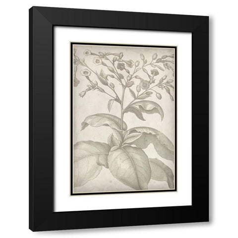 Classic Romance I Black Modern Wood Framed Art Print with Double Matting by Vision Studio