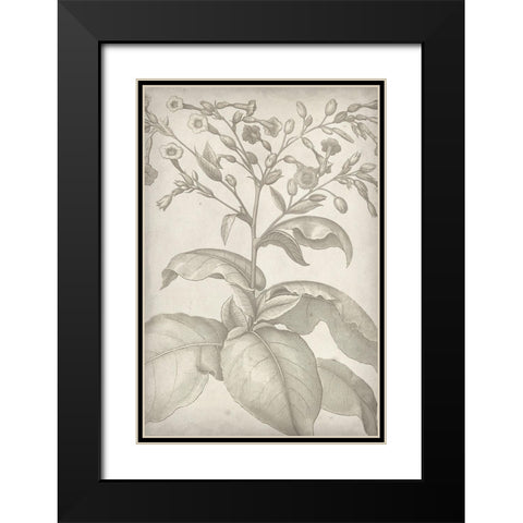 Classic Romance I Black Modern Wood Framed Art Print with Double Matting by Vision Studio