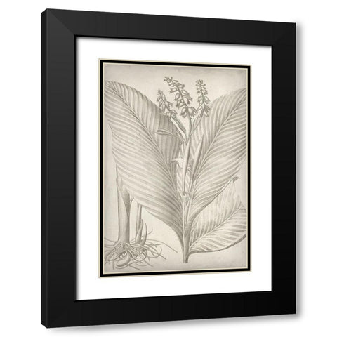 Classic Romance II Black Modern Wood Framed Art Print with Double Matting by Vision Studio