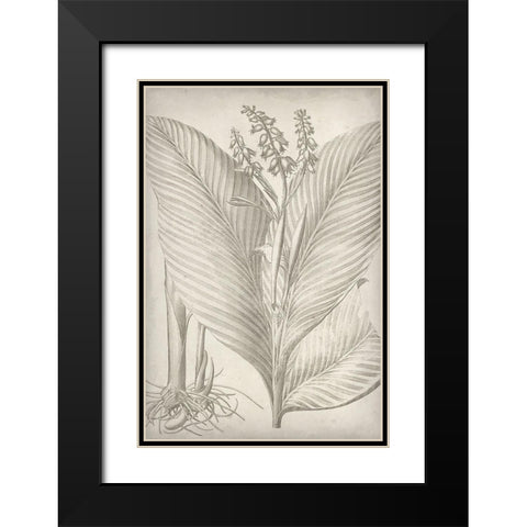Classic Romance II Black Modern Wood Framed Art Print with Double Matting by Vision Studio