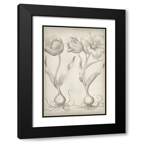 Classic Romance III Black Modern Wood Framed Art Print with Double Matting by Vision Studio