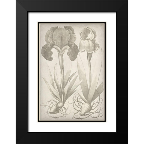 Classic Romance IV Black Modern Wood Framed Art Print with Double Matting by Vision Studio