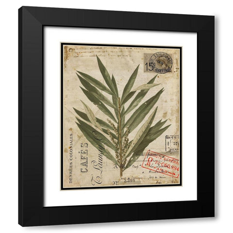 Vintage Natures Greenery I Black Modern Wood Framed Art Print with Double Matting by Vision Studio