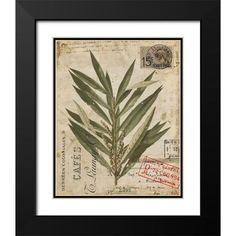 Vintage Natures Greenery I Black Modern Wood Framed Art Print with Double Matting by Vision Studio