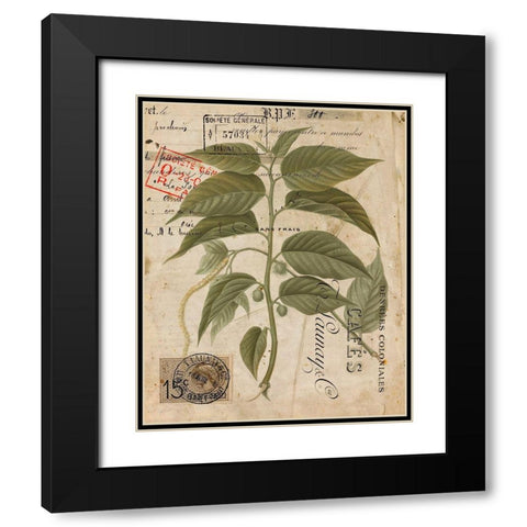 Vintage Natures Greenery II Black Modern Wood Framed Art Print with Double Matting by Vision Studio