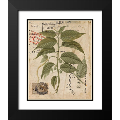 Vintage Natures Greenery II Black Modern Wood Framed Art Print with Double Matting by Vision Studio
