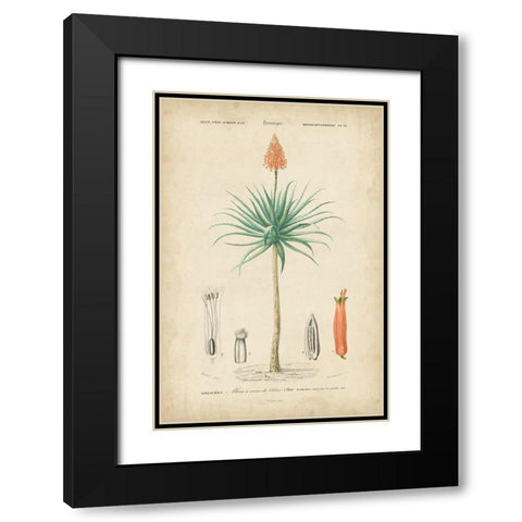 Tropical Botanique II Black Modern Wood Framed Art Print with Double Matting by Vision Studio