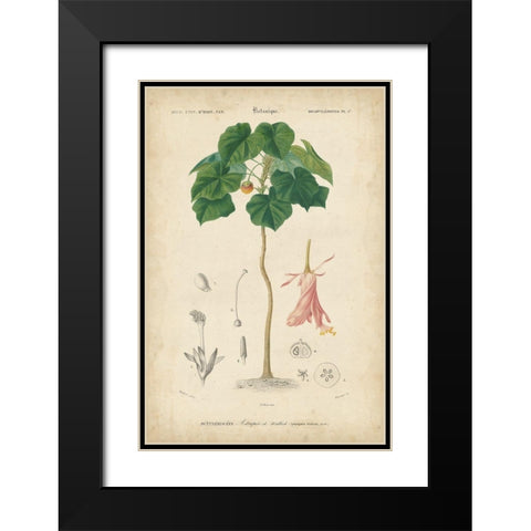 Tropical Botanique V Black Modern Wood Framed Art Print with Double Matting by Vision Studio