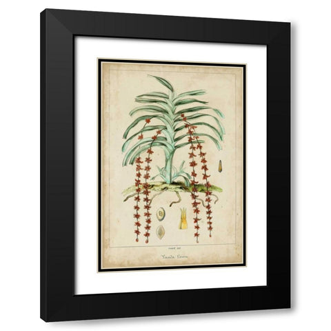 Palma Exotica IV Black Modern Wood Framed Art Print with Double Matting by Vision Studio