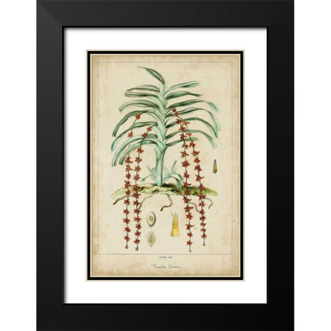 Palma Exotica IV Black Modern Wood Framed Art Print with Double Matting by Vision Studio
