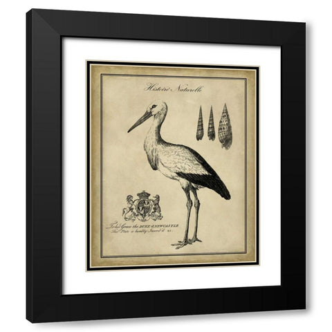 Antiquarian Stork Black Modern Wood Framed Art Print with Double Matting by Vision Studio