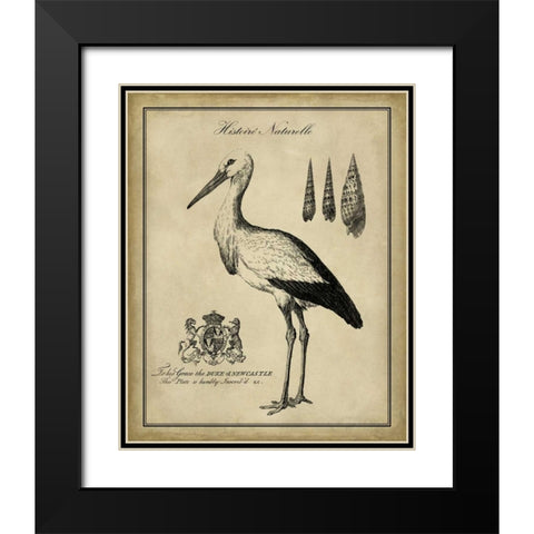 Antiquarian Stork Black Modern Wood Framed Art Print with Double Matting by Vision Studio