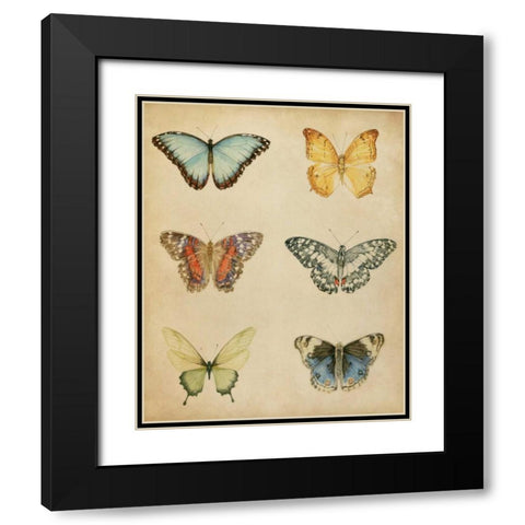 Butterfly Varietal I Black Modern Wood Framed Art Print with Double Matting by Meagher, Megan