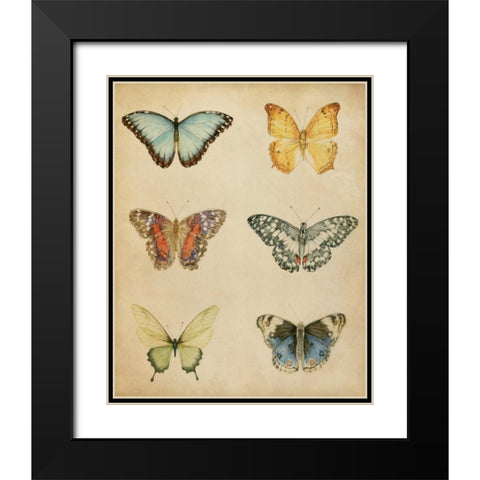 Butterfly Varietal I Black Modern Wood Framed Art Print with Double Matting by Meagher, Megan