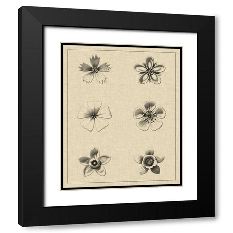 Floral Rosette II Black Modern Wood Framed Art Print with Double Matting by Vision Studio
