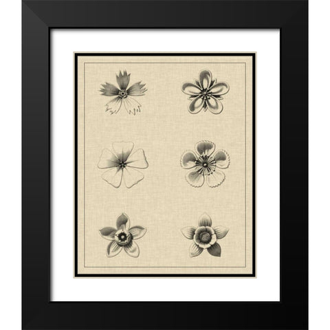 Floral Rosette II Black Modern Wood Framed Art Print with Double Matting by Vision Studio