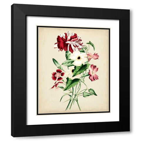 Natures Romance VI Black Modern Wood Framed Art Print with Double Matting by Vision Studio