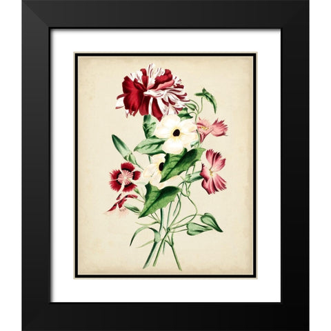 Natures Romance VI Black Modern Wood Framed Art Print with Double Matting by Vision Studio