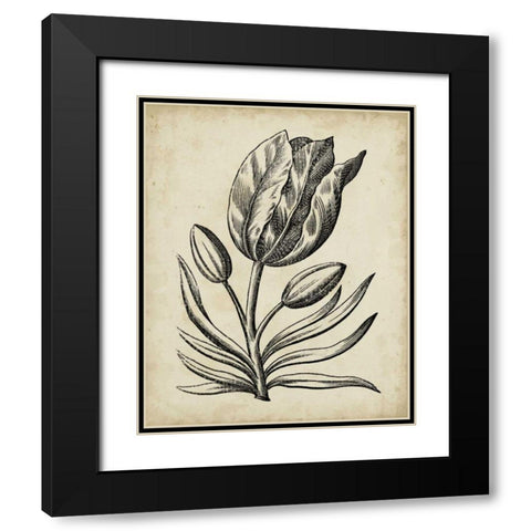 Distinguished Floral I Black Modern Wood Framed Art Print with Double Matting by Vision Studio
