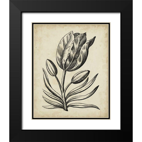Distinguished Floral I Black Modern Wood Framed Art Print with Double Matting by Vision Studio