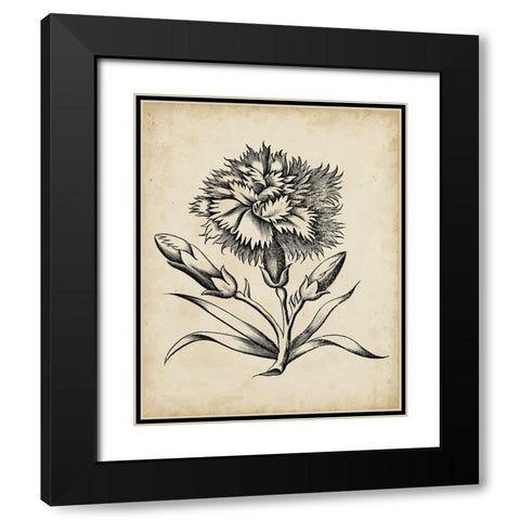 Distinguished Floral III Black Modern Wood Framed Art Print with Double Matting by Vision Studio