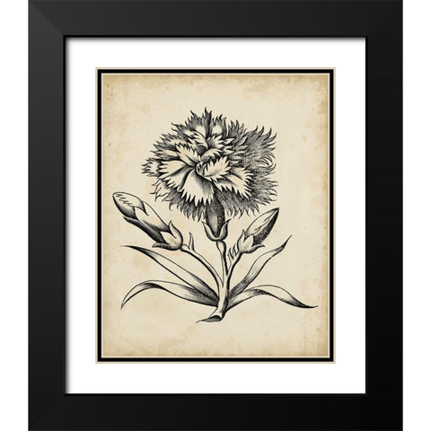 Distinguished Floral III Black Modern Wood Framed Art Print with Double Matting by Vision Studio