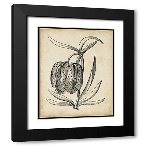 Distinguished Floral IV Black Modern Wood Framed Art Print with Double Matting by Vision Studio