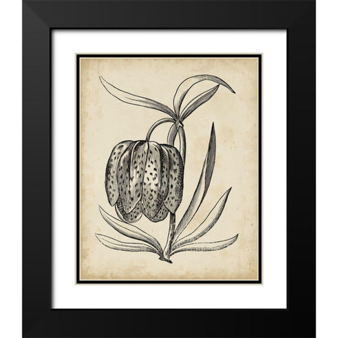 Distinguished Floral IV Black Modern Wood Framed Art Print with Double Matting by Vision Studio