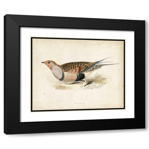 Morris Pheasants V Black Modern Wood Framed Art Print with Double Matting by Morris