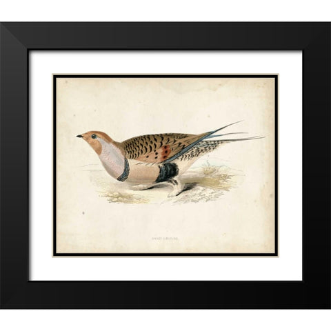 Morris Pheasants V Black Modern Wood Framed Art Print with Double Matting by Morris