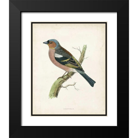 Morris Chaffinch Black Modern Wood Framed Art Print with Double Matting by Morris