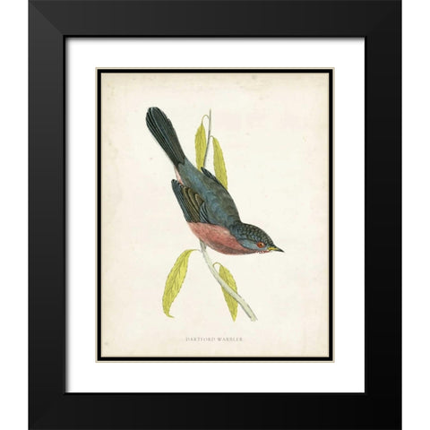 Morris Dartford Warbler Black Modern Wood Framed Art Print with Double Matting by Morris