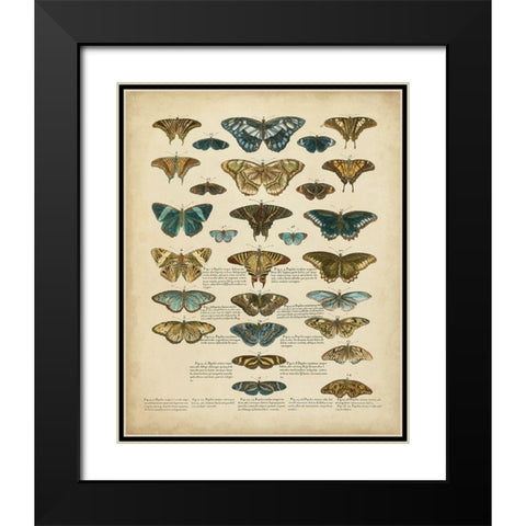 Tabula de Papilio Black Modern Wood Framed Art Print with Double Matting by Sloan