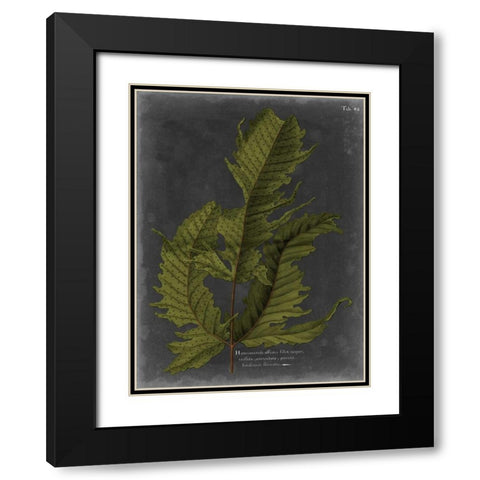 Foliage Dramatique I Black Modern Wood Framed Art Print with Double Matting by Vision Studio