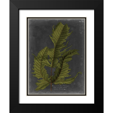 Foliage Dramatique I Black Modern Wood Framed Art Print with Double Matting by Vision Studio