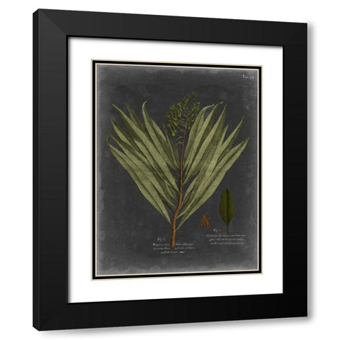 Foliage Dramatique II Black Modern Wood Framed Art Print with Double Matting by Vision Studio