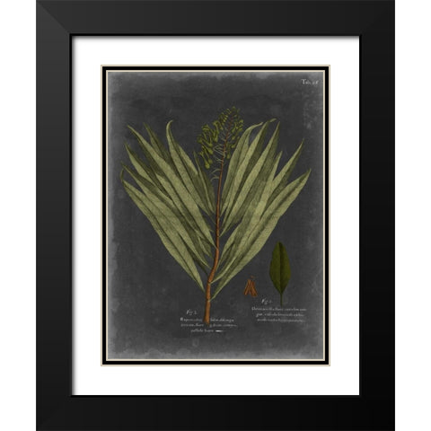 Foliage Dramatique II Black Modern Wood Framed Art Print with Double Matting by Vision Studio