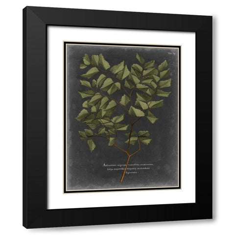 Foliage Dramatique V Black Modern Wood Framed Art Print with Double Matting by Vision Studio